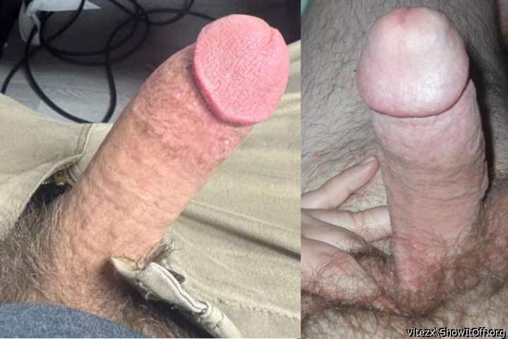 KoreanItalian cock (left) vs vitezx cock(right)
