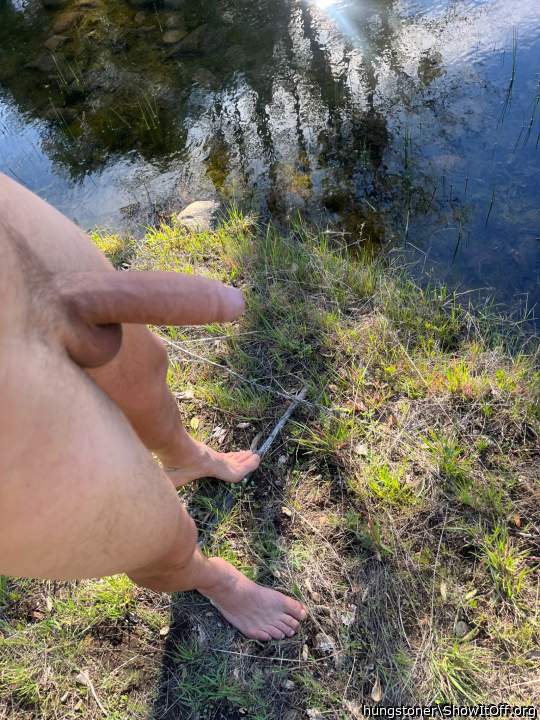outdoor cock