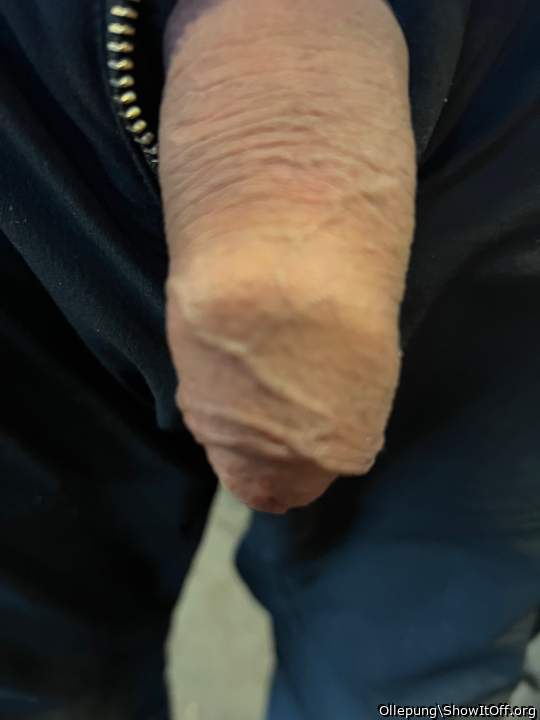 Adult image from Ollepung