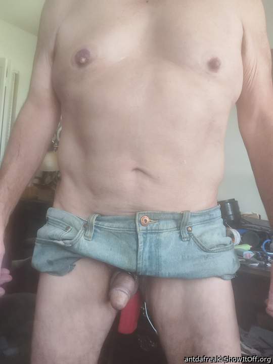 Adult image from antdafreak
