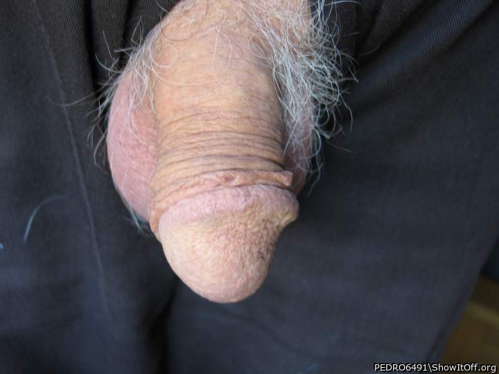 Adult image from PEDRO6491