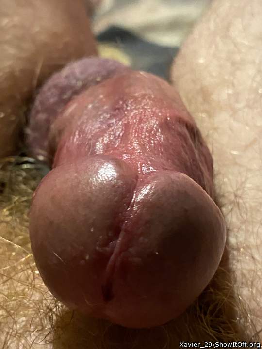 Adult image from Xavier_29