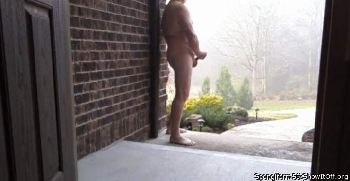 Adult image from Spongiform56