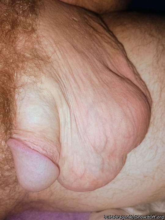 Adult image from Justadragon40