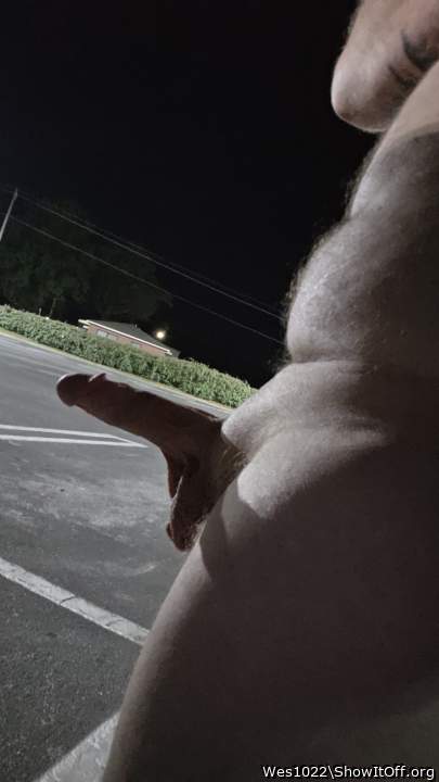 Adult image from Wes1022