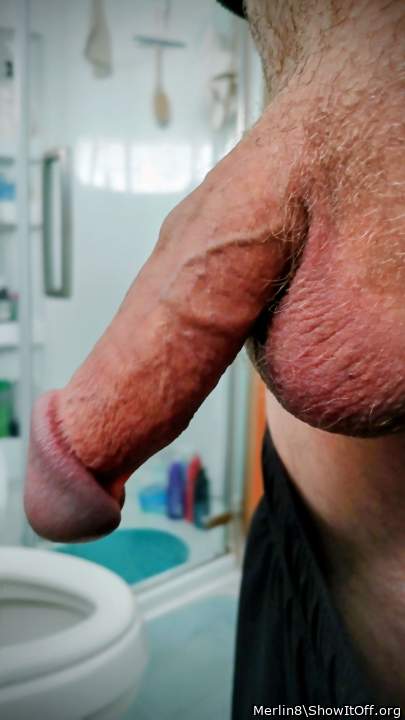 Adult image from Merlin8