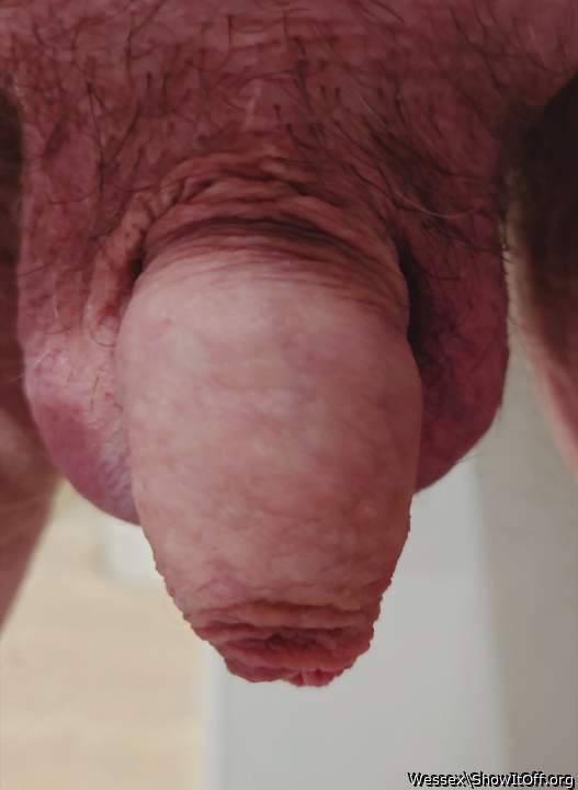 Adult image from Wessex