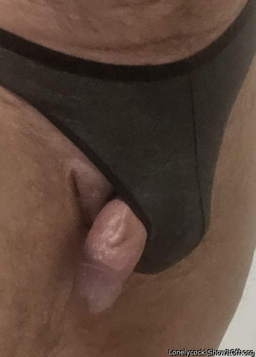 Adult image from Lonelycock
