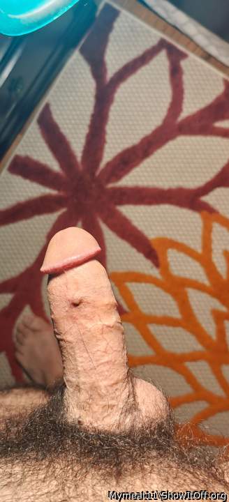 Adult image from Mymeat11