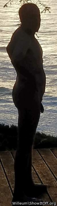 Adult image from Willeum