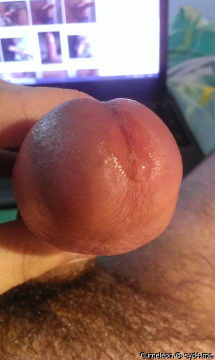 Oozing dick head while wanking.