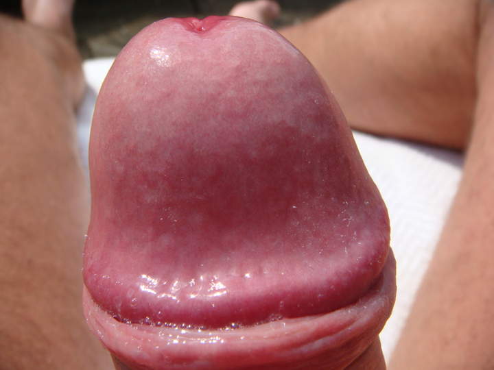 Mmmmm! Circumcise this beauty and dry that gorgeous head in 