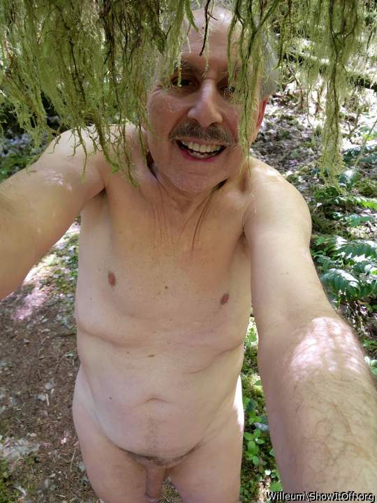 Adult image from Willeum