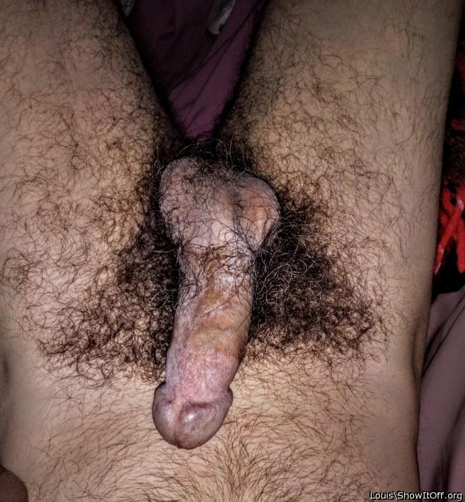 Nice hairy cock buddy!  