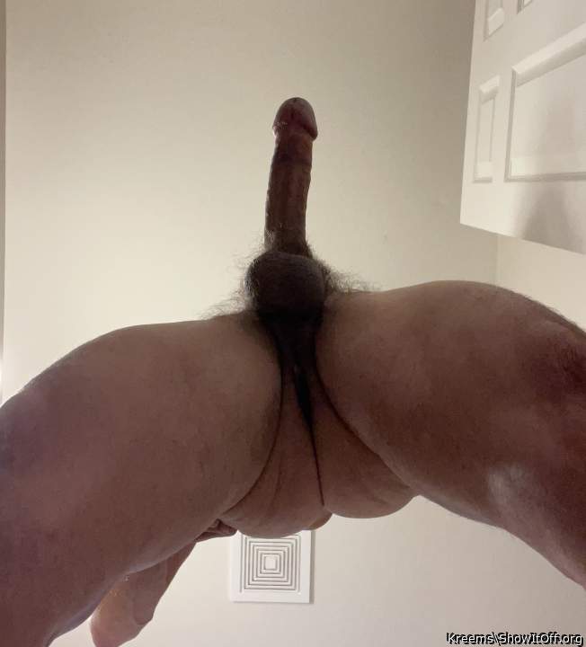 Kreems' penis and hairy testicles from below
