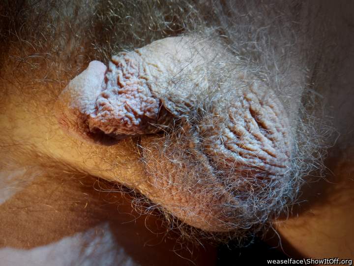 Adult image from weaselface