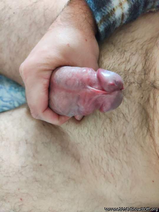 Adult image from torrone2018