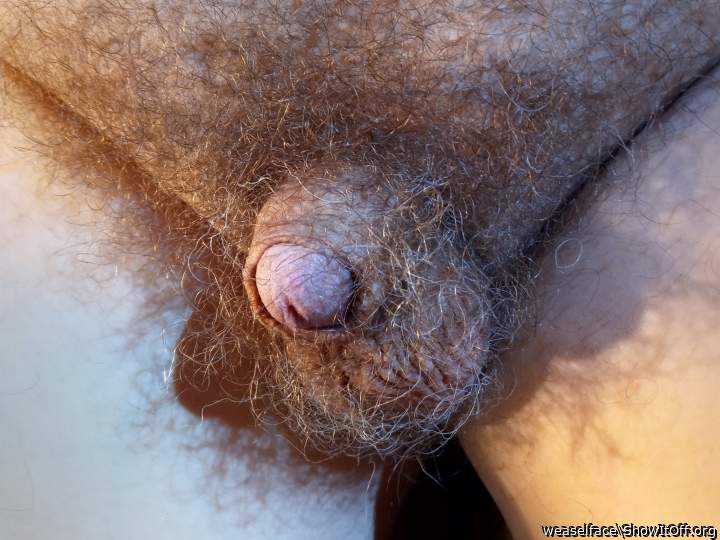 Adult image from weaselface