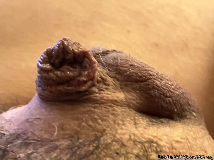 Adult image from DickFun1981