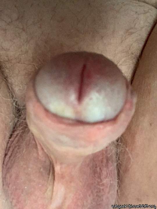 Adult image from satgeek