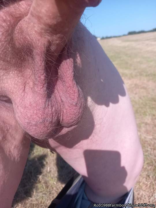 Adult image from Rob1988farmboy