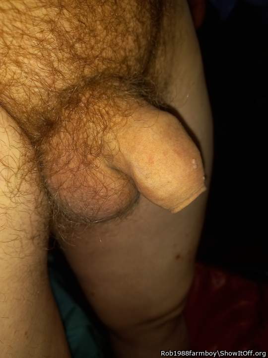 Adult image from Rob1988farmboy