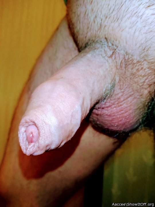 Great foreskin and balls   