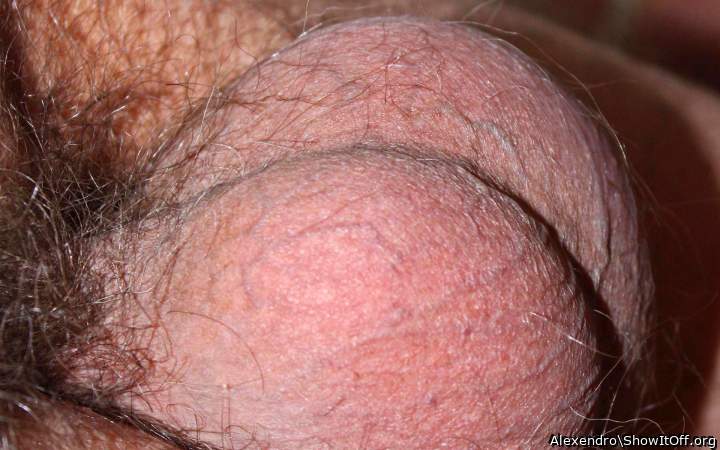 You have the nutsac so PRETTY!