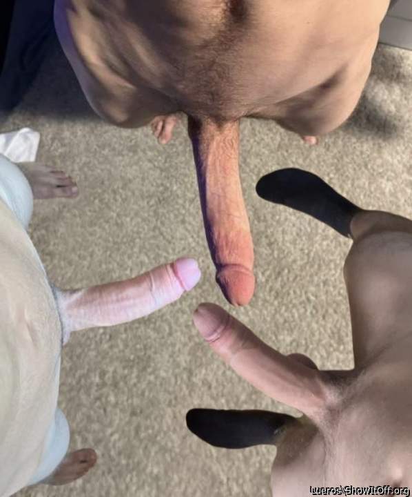 The 3 dicks 😘