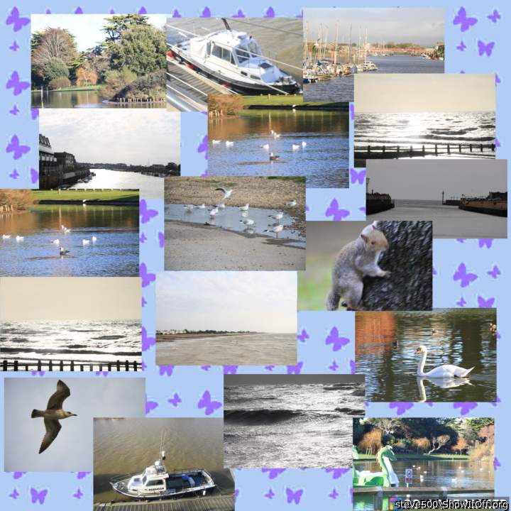 Adult image from steve500