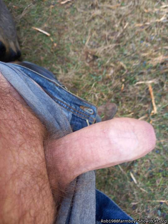 Hot nice thick dick    