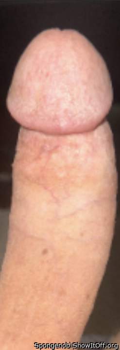 Adult image from Spongenob