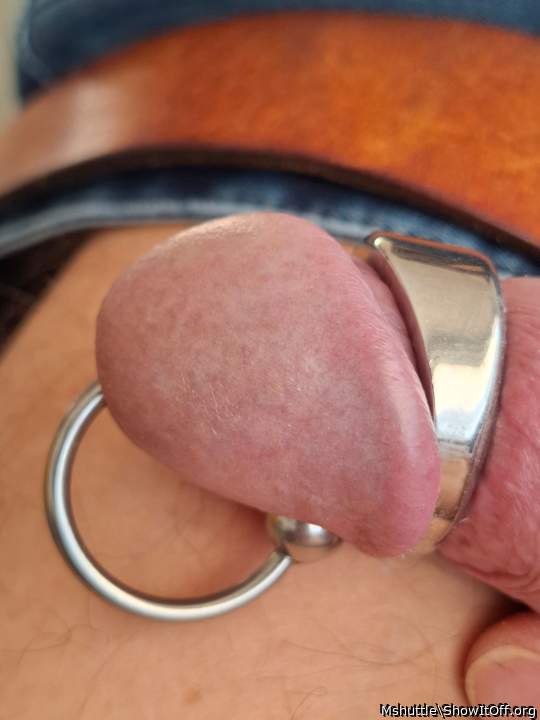 Adult image from Mshuttle