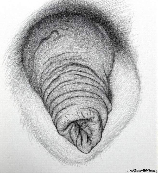 Adult image from mzr