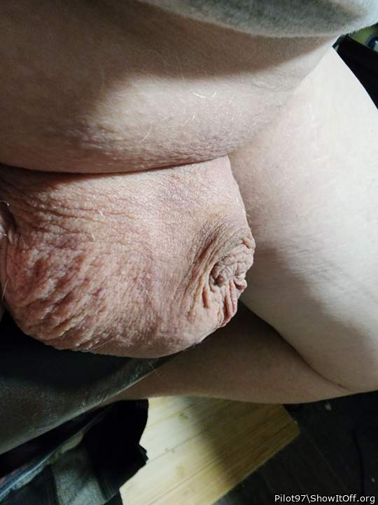 Adult image from Pilot97