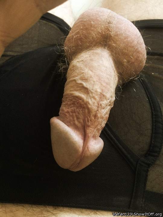 Hot cock and balls