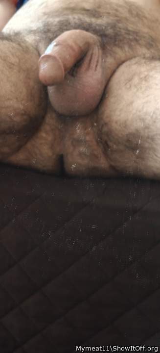 Adult image from Mymeat11