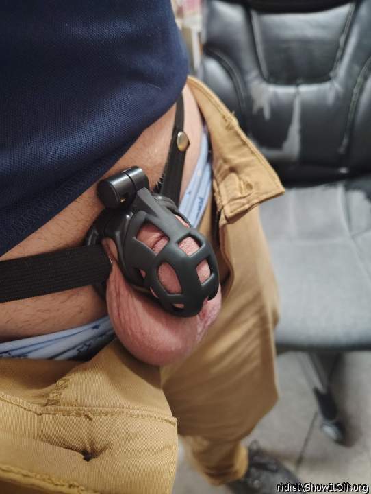 Adult image from ridist