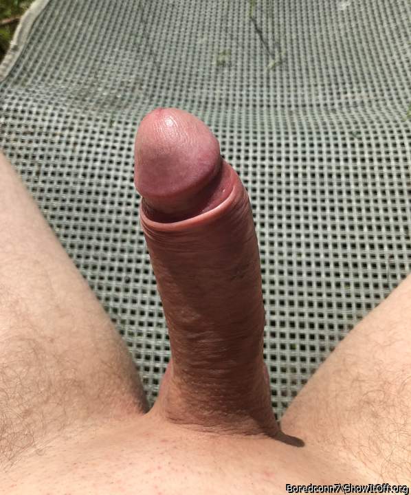 perfect smooth dick  