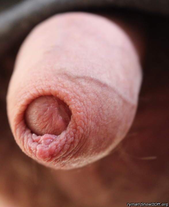 Cock head and foreskin
