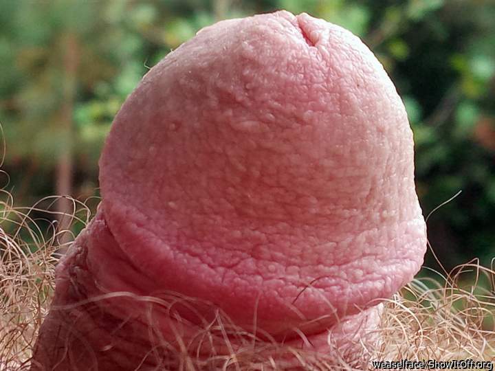 Adult image from weaselface