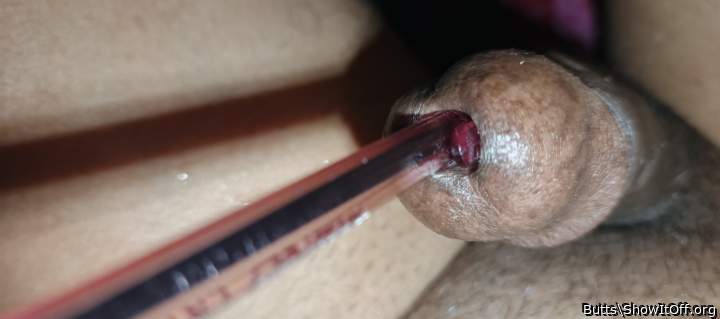 Oh, I�d love to play with you