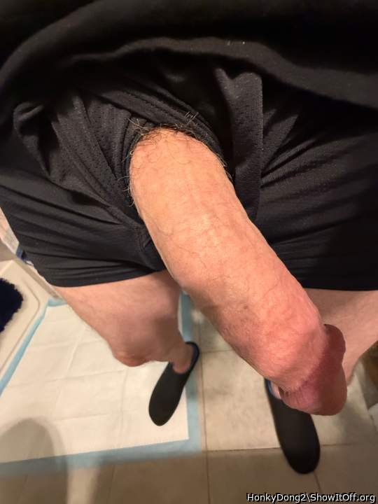 Adult image from HonkyDong2