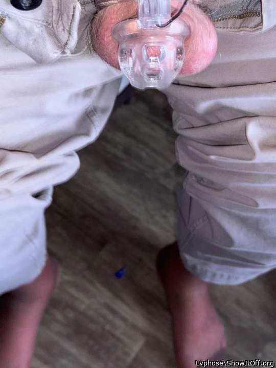 Adult image from Lvphose