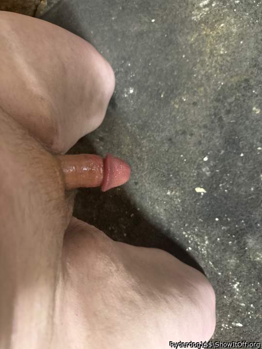 Adult image from Ryderdog1$$