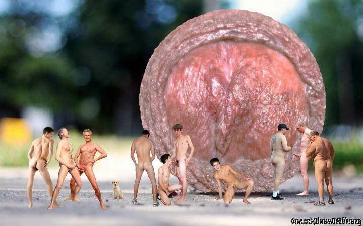 Adult image from Anass