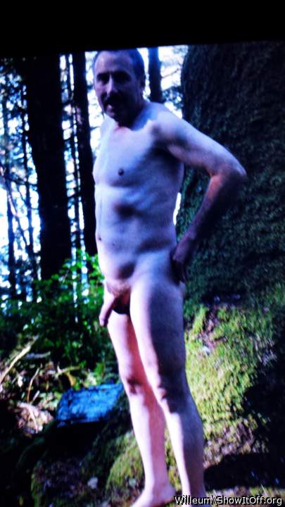 Adult image from Willeum