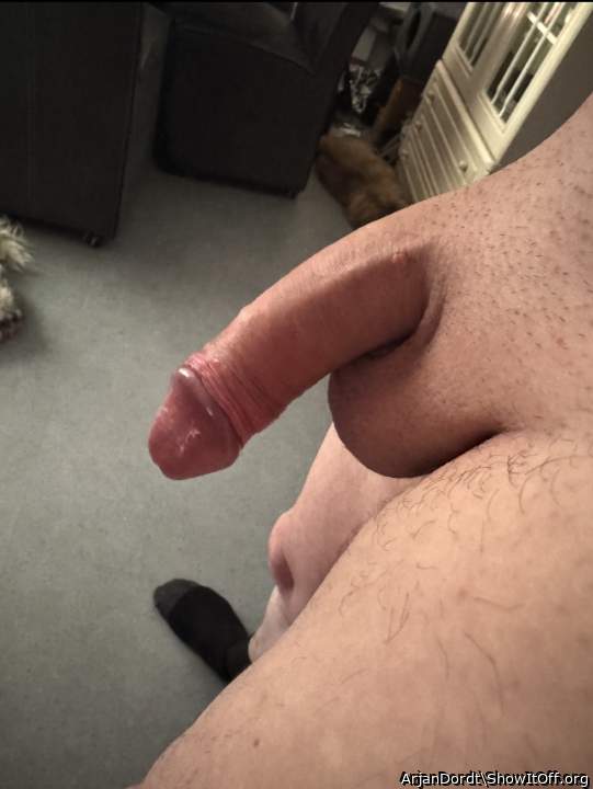 Adult image from ArjanDordt