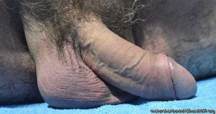 Beautiful meaty cock  