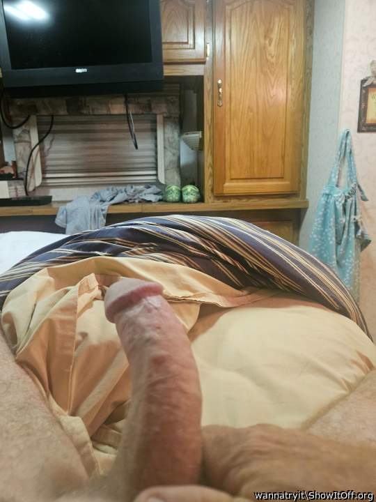 Adult image from wannatryit